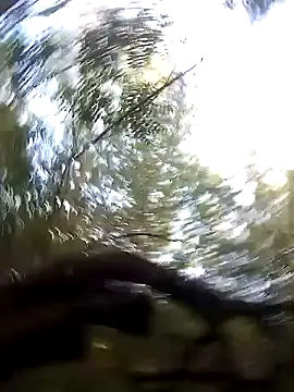 juunioreest online show from 01-10-26, 10:49