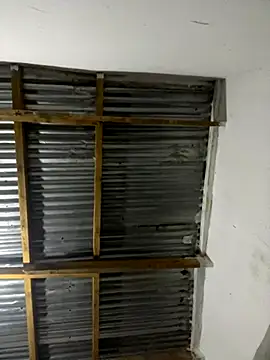 mrcougarfucker online show from 11-19-25, 10:10