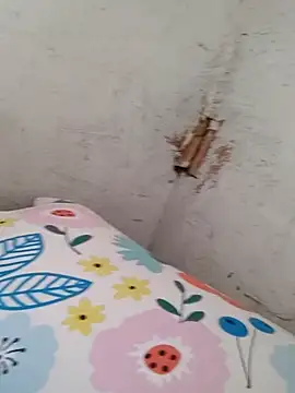 Snapshot of braidqueen00 chatting on 12-20-25, 05:27 braidqueen00 online show from 12-20-25, 05:27