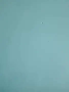 Snapshot of braidqueen00 chatting on 02-19-26, 07:55 braidqueen00 online show from 02-19-26, 07:55