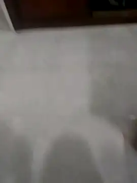 Snapshot of Zaginer chatting on 11-20-25, 10:31 Zaginer online show from 11-20-25, 10:31