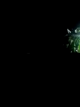 12followme12 online show from 04-11-26, 10:24