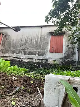 Miumiu95x online show from 01-16-26, 09:35