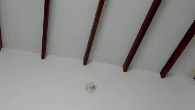 Snapshot of Dio__morningstar chatting on 02-08-26, 09:34 Dio morningstar online show from 02-08-26, 09:34