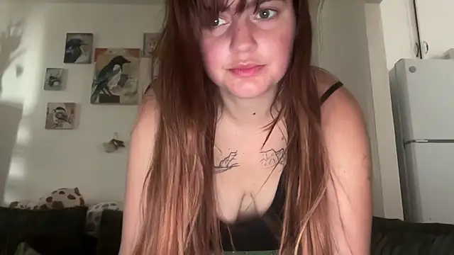 loserlexxx online show from 02-08-26, 09:12