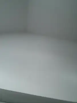 -bfc1882- online show from 02-24-26, 08:26