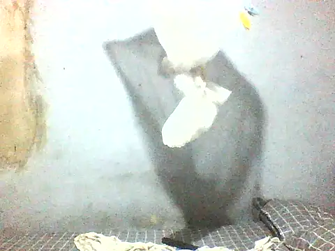 fuckdigg online show from 01-11-26, 01:45