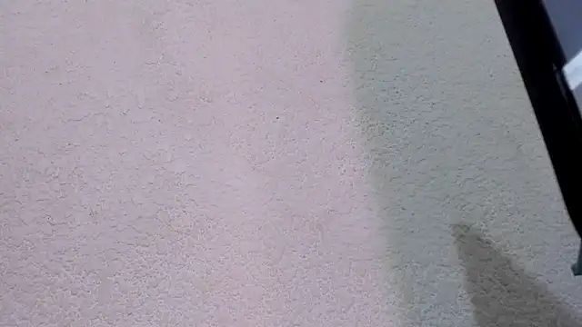 Snapshot of ebonycamelia chatting on 11-22-25, 11:47 ebonycamelia online show from 11-22-25, 11:47