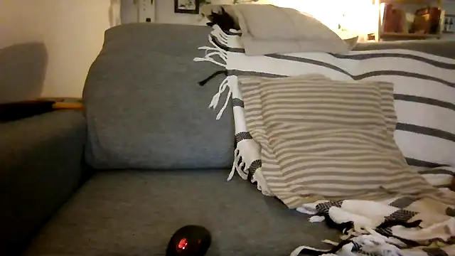 xxxluana online show from 12-03-25, 04:02