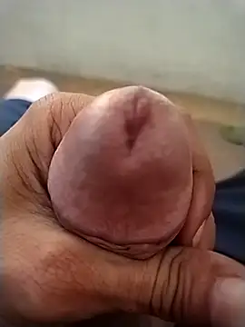 GDwrzsc2bfc online show from 12-04-25, 09:41