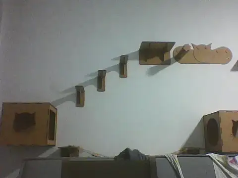 Temp7 online show from 02-25-26, 11:48