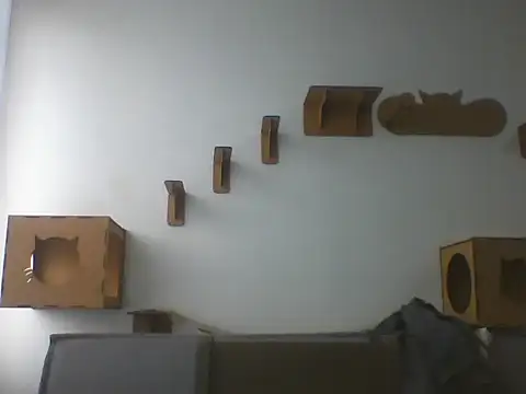 Temp7 online show from 02-22-26, 01:24