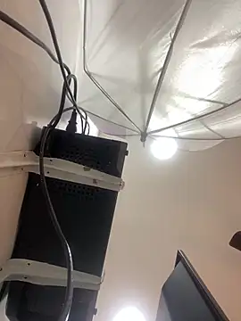 Aria Kitty online show from 11-30-25, 11:44