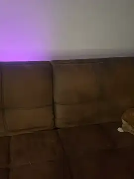 Little  Danni1 online show from 02-14-26, 02:12