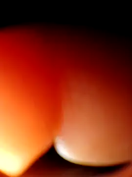 Eezxxx online show from 03-23-26, 04:01