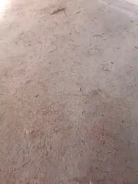 Nandani-758 online show from 12-02-25, 10:06