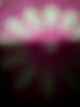 Nandani-758 online show from 12-19-25, 12:14