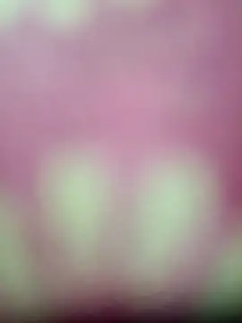 Nandani-758 online show from 01-17-26, 04:10