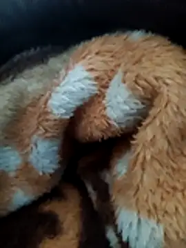 Snapshot of Hotboylumia_825321 chatting on 12-20-25, 01:14 Hotboylumia 825321 online show from 12-20-25, 01:14