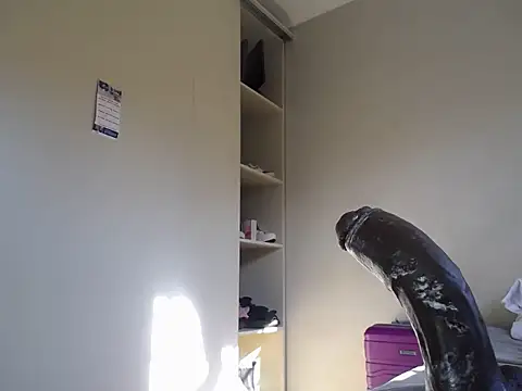 KinkyJXxX online show from 04-10-26, 01:29