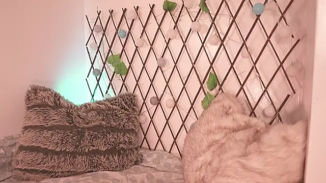 Mackenzie Lia online show from 11-28-25, 07:25