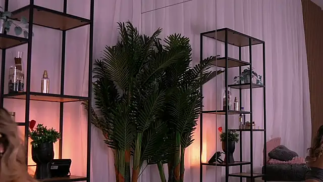 AishleyBee online show from 11-27-25, 12:38