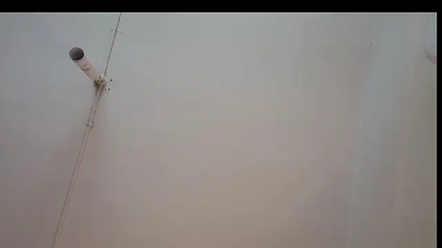 Snapshot of ShyColette chatting on 11-22-25, 03:27 ShyColette online show from 11-22-25, 03:27