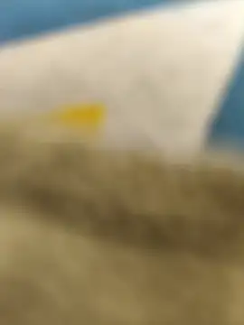 paro22 sex online show from 02-14-26, 05:13