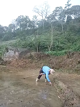 nangmo online show from 03-20-26, 11:50