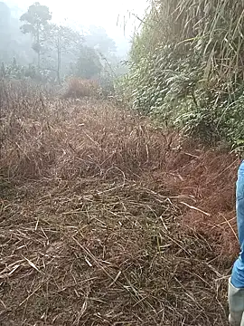 nangmo online show from 03-01-26, 01:16