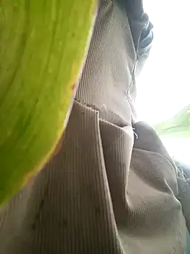Snapshot of nangmo chatting on 07-17-26, 11:46 nangmo online show from 07-17-26, 11:46