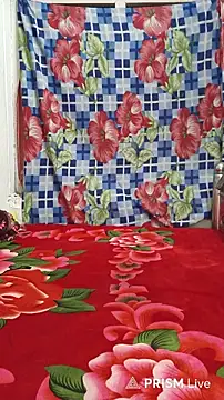 luckyutube online show from 04-04-26, 04:02