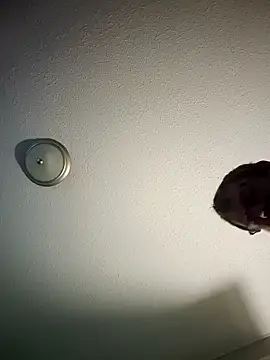 mr girthyandsweetcheeks online show from 02-13-26, 06:35