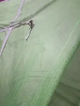 Daily lust online show from 02-27-26, 07:03