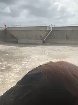 Xiaomili8 online show from 12-20-25, 04:15