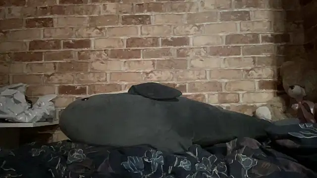 Snapshot of Blair_Reid chatting on 11-29-25, 04:40 Blair Reid online show from 11-29-25, 04:40