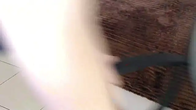 Brandy Gem online show from 02-19-26, 07:49