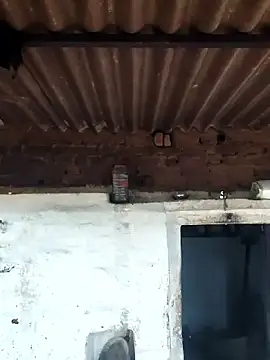 Babita Gori online show from 04-09-26, 02:35