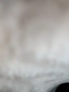 jiniya6789 online show from 01-15-26, 08:18