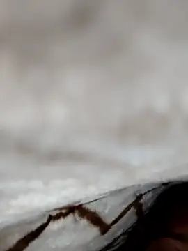 jiniya6789 online show from 01-09-26, 07:54