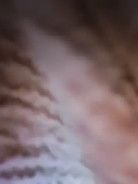 Snapshot of Punam_panjabi chatting on 02-28-26, 07:52 Punam panjabi online show from 02-28-26, 07:52