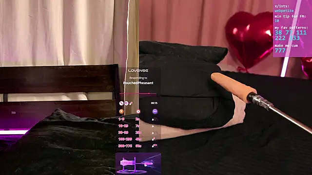 webpetite online show from 02-20-26, 06:19