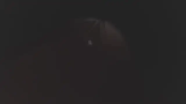 megan lenon online show from 12-19-25, 03:10