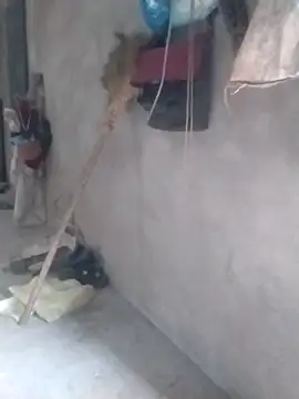 tieutam122 online show from 03-02-26, 10:33