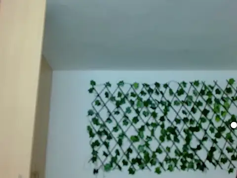 kuroneko 97 online show from 11-29-25, 08:20