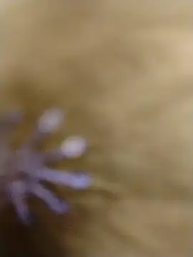 Snapshot of RASHMI_SHARMA9 chatting on 02-16-26, 04:00 RASHMI SHARMA9 online show from 02-16-26, 04:00