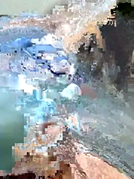 Harry254238 online show from 01-15-26, 05:38