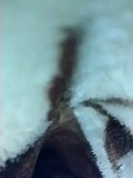 Harry254238 online show from 01-06-26, 05:50