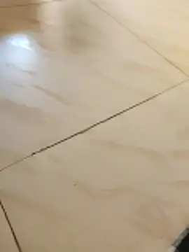 Amit22122 online show from 12-02-25, 08:38