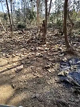 88zaifkhan88 online show from 01-10-26, 04:41